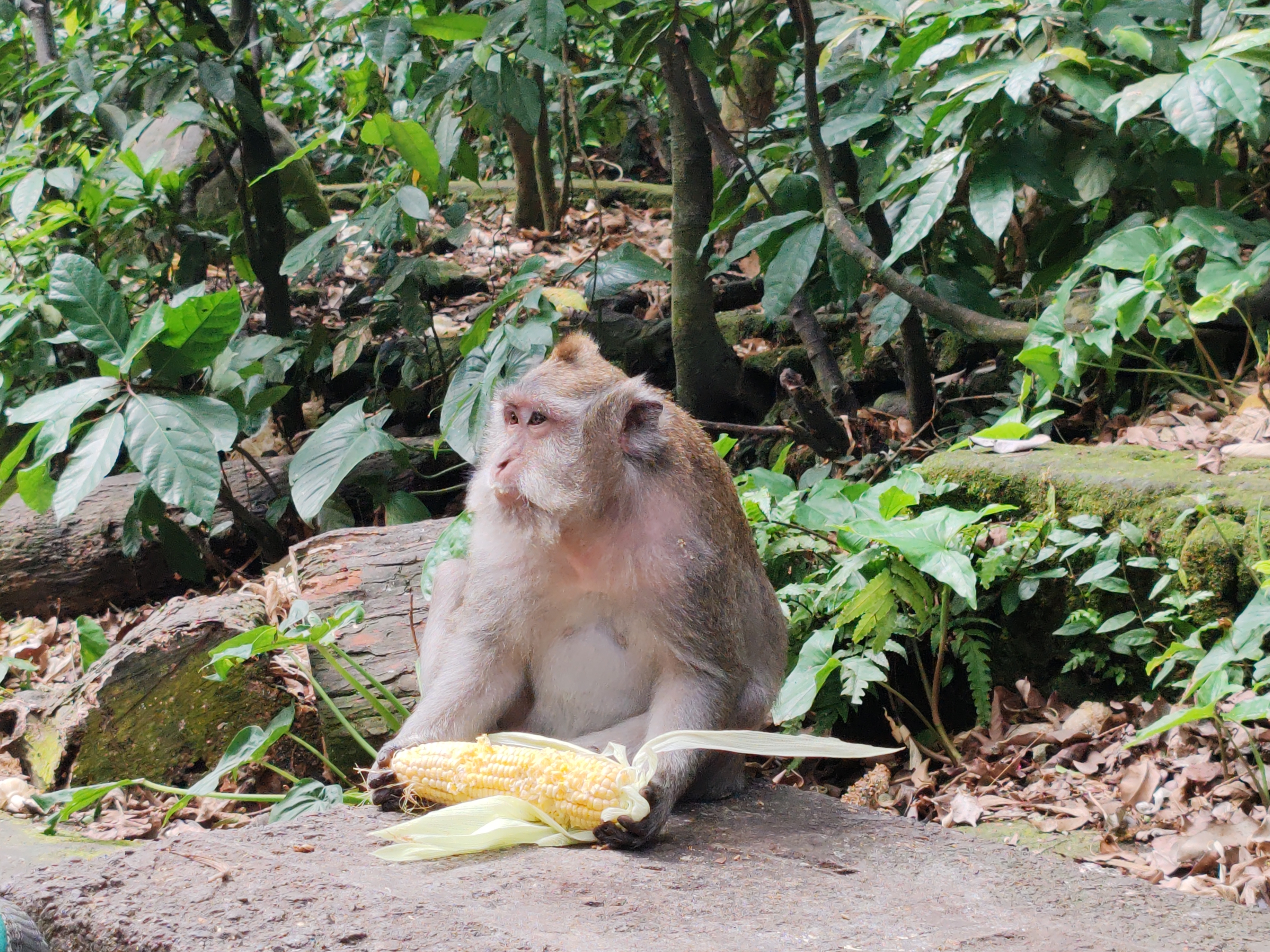 Bali travel memory