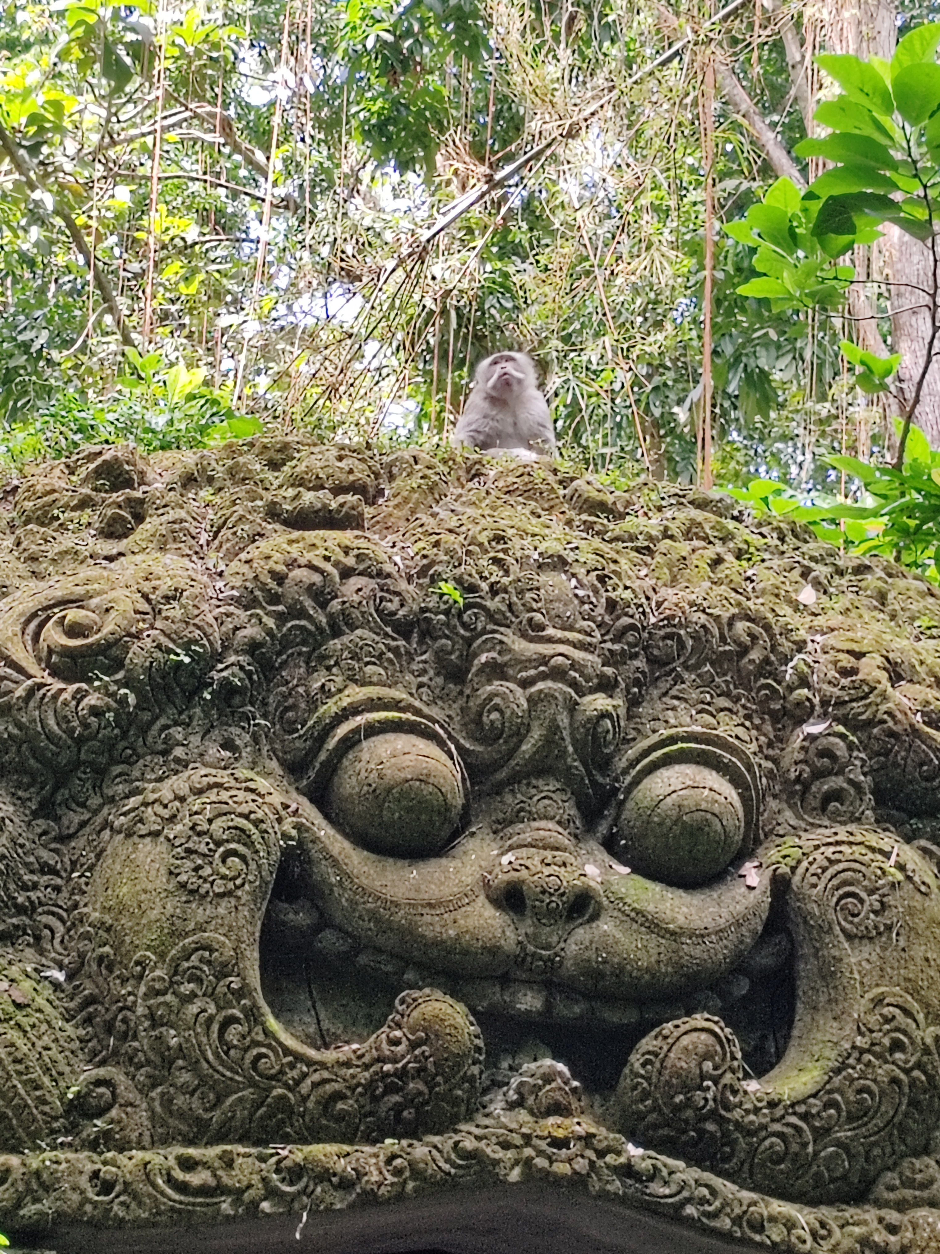 Bali travel memory