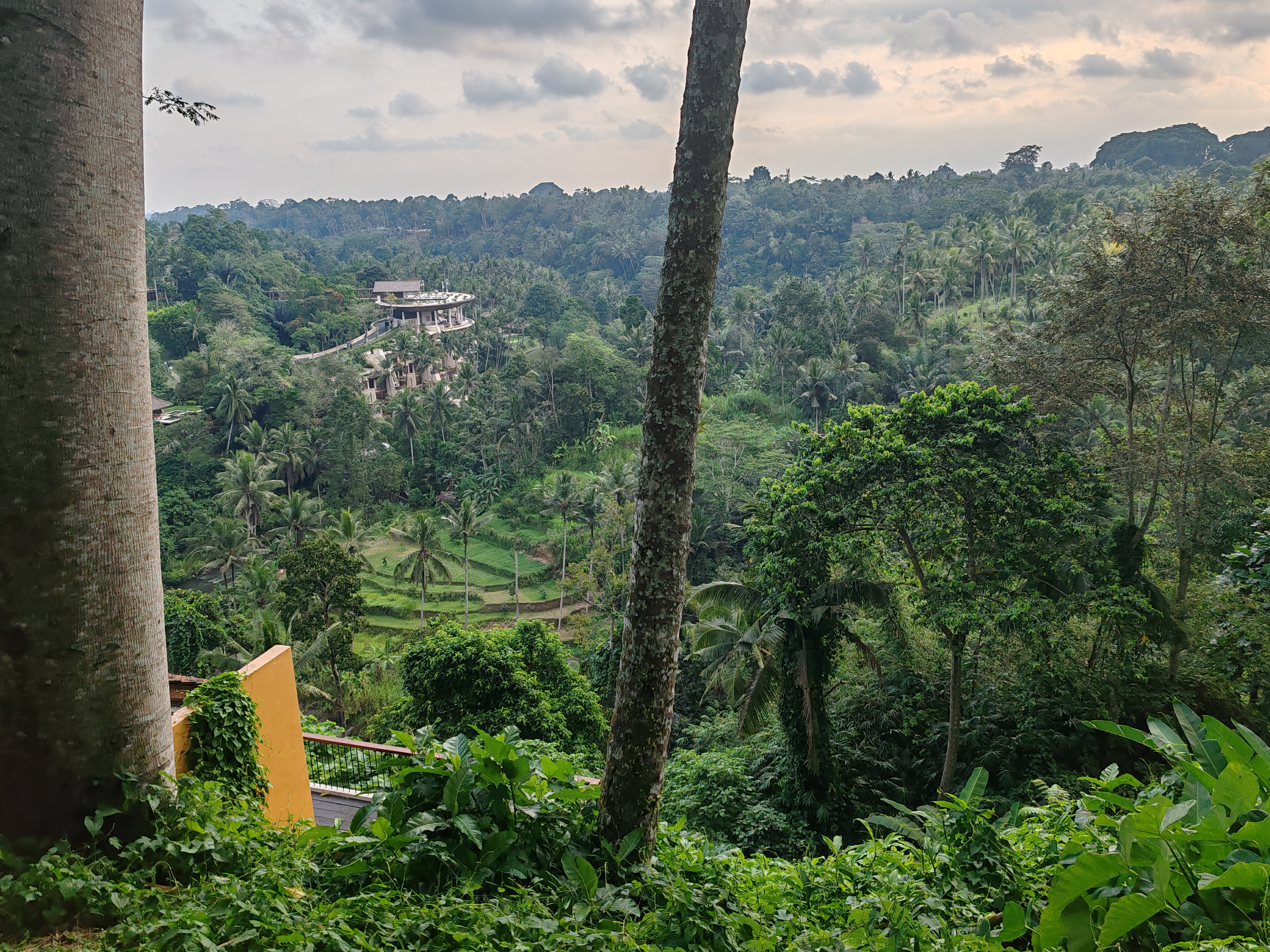 Bali travel memory